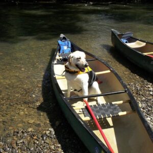 Canoe Trip A 5 Miles