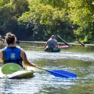Single Kayak Trip B 7 Miles